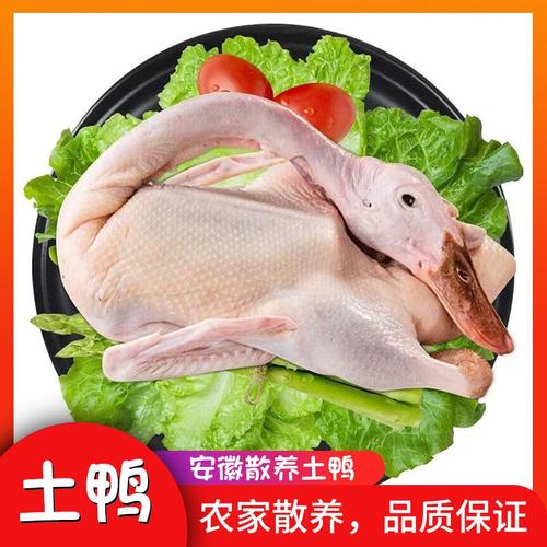  供应 鸭产品 白条鸭 白条鸭,全鸭   分享到  价格:10800元/吨
